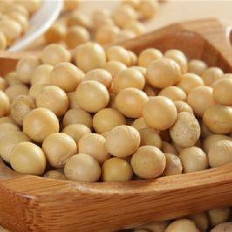 供应黑龙江大豆现货20万吨