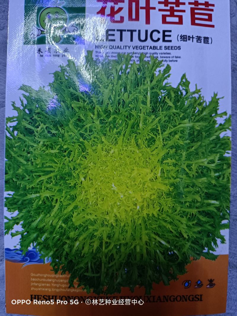 苦苣种子原厂包装黄心细叶花叶苦菊农家四季可播阳台盆栽蔬菜