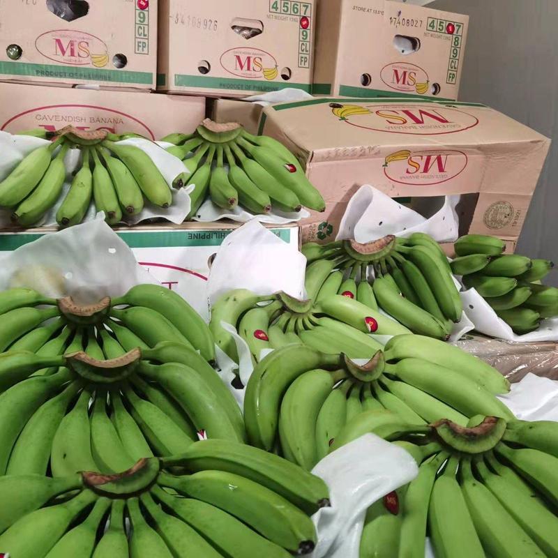 大量到货香蕉供货超市，电商和地方批发，25一件30斤