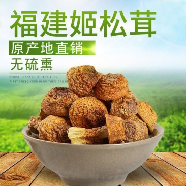 姬松茸干货松茸菌福建特产精品松茸菇蘑菇干货精选无硫仿野生