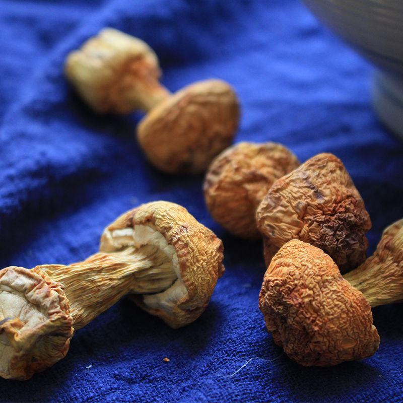姬松茸干货松茸菌福建特产精品松茸菇蘑菇干货精选无硫仿野生