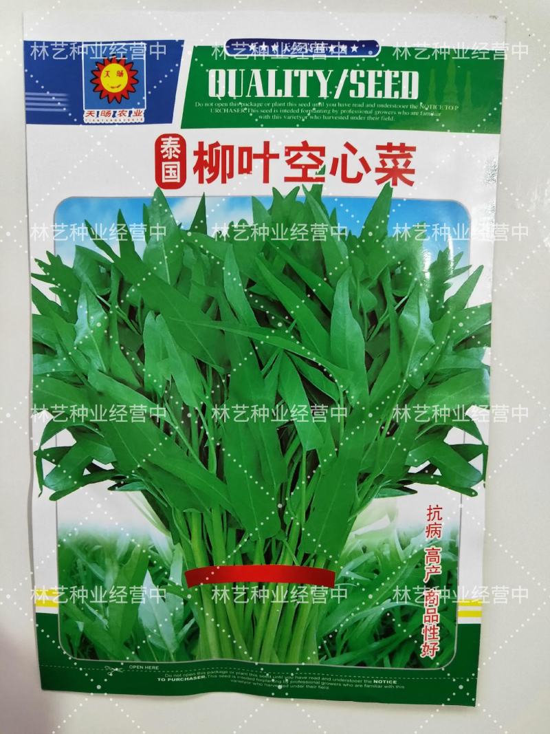 柳叶空心菜种子夏季阳台盆栽蔬菜种籽农家四季播水培
