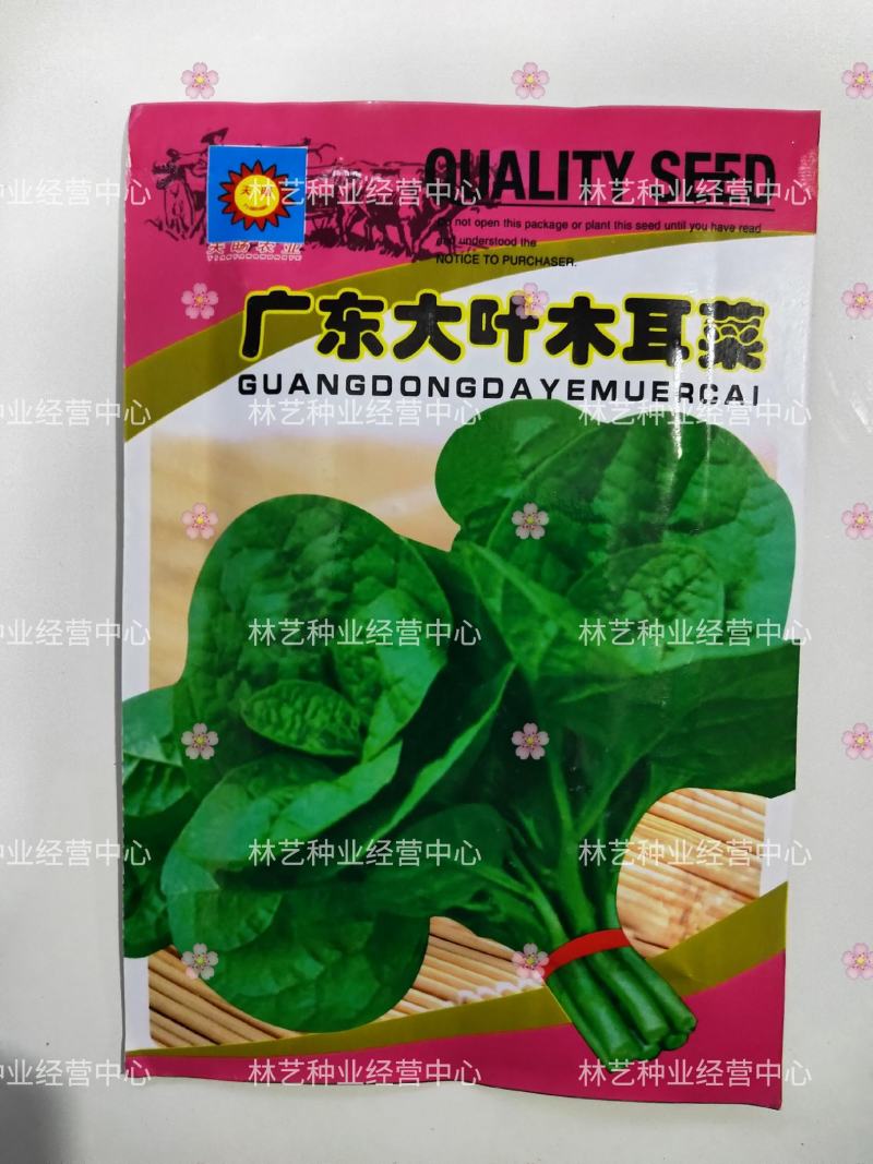 大叶木耳菜种子爬藤小青菜阳台盆栽田园易种蔬菜种籽