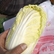 小娃娃菜，小娃，散装，精包装，一包40颗