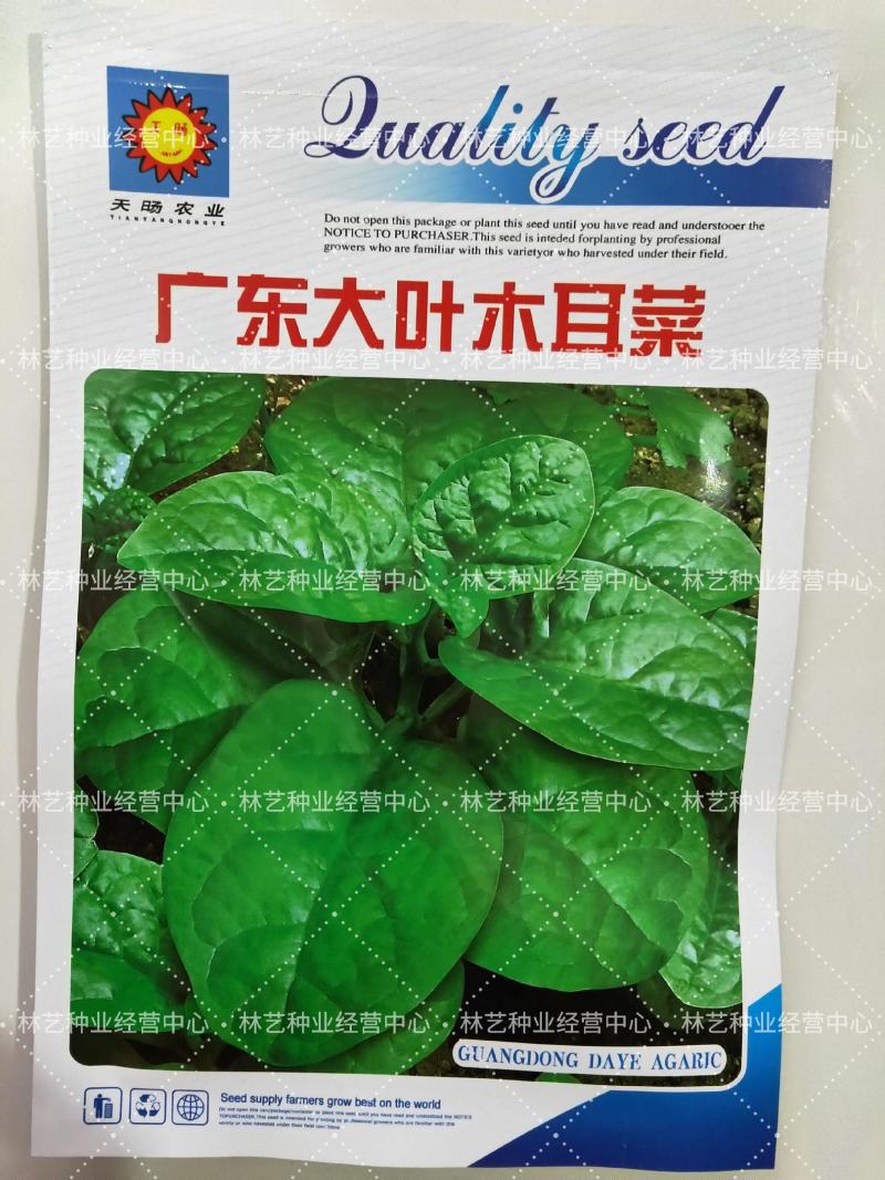 大叶木耳菜种子小青菜爬藤蔬菜种籽四季播春夏秋冬季种植