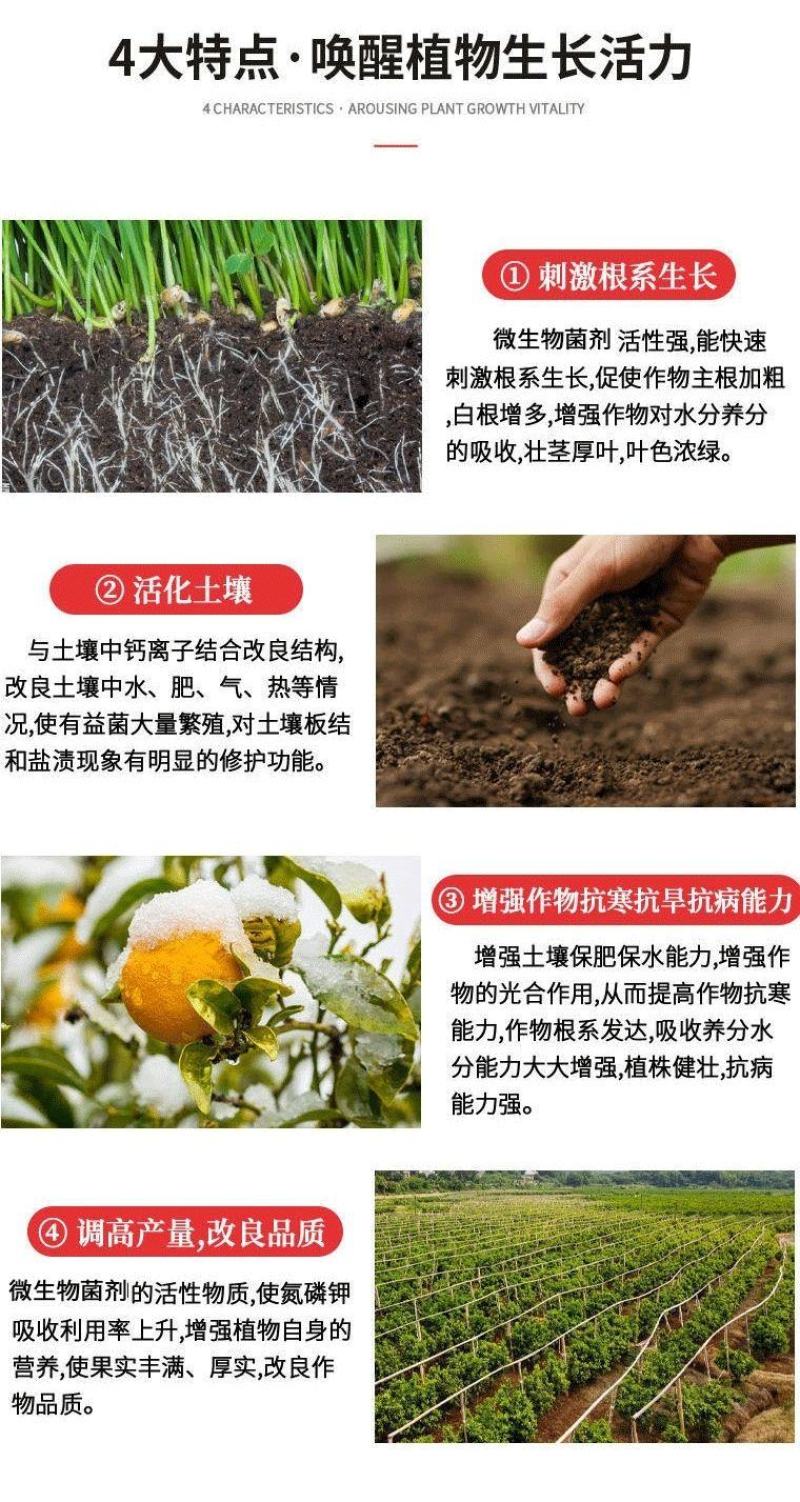 微生物菌剂枯草芽孢杆菌桶装液体肥松土生根抗重茬防早衰烂根