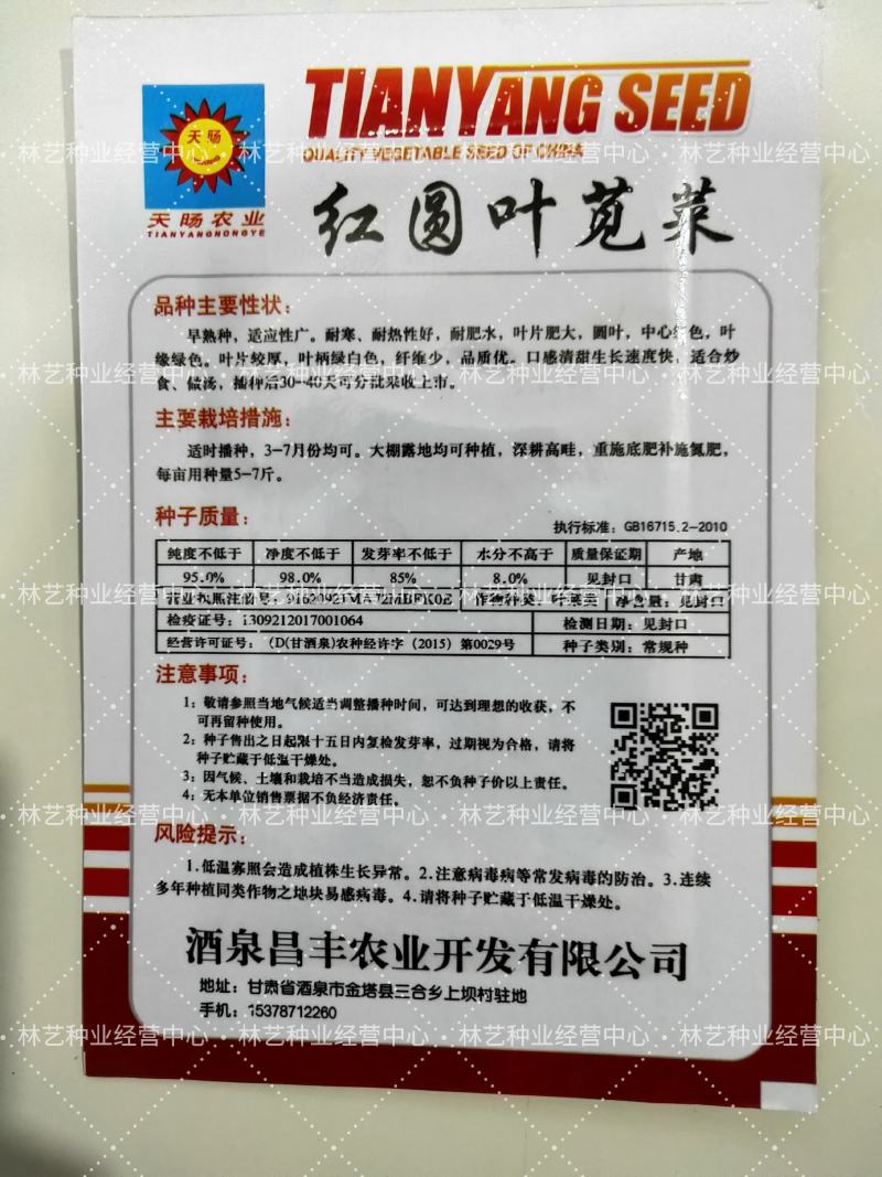 圆叶红苋菜种子阳台盆栽蔬菜种子易发芽四季播种小菜种子