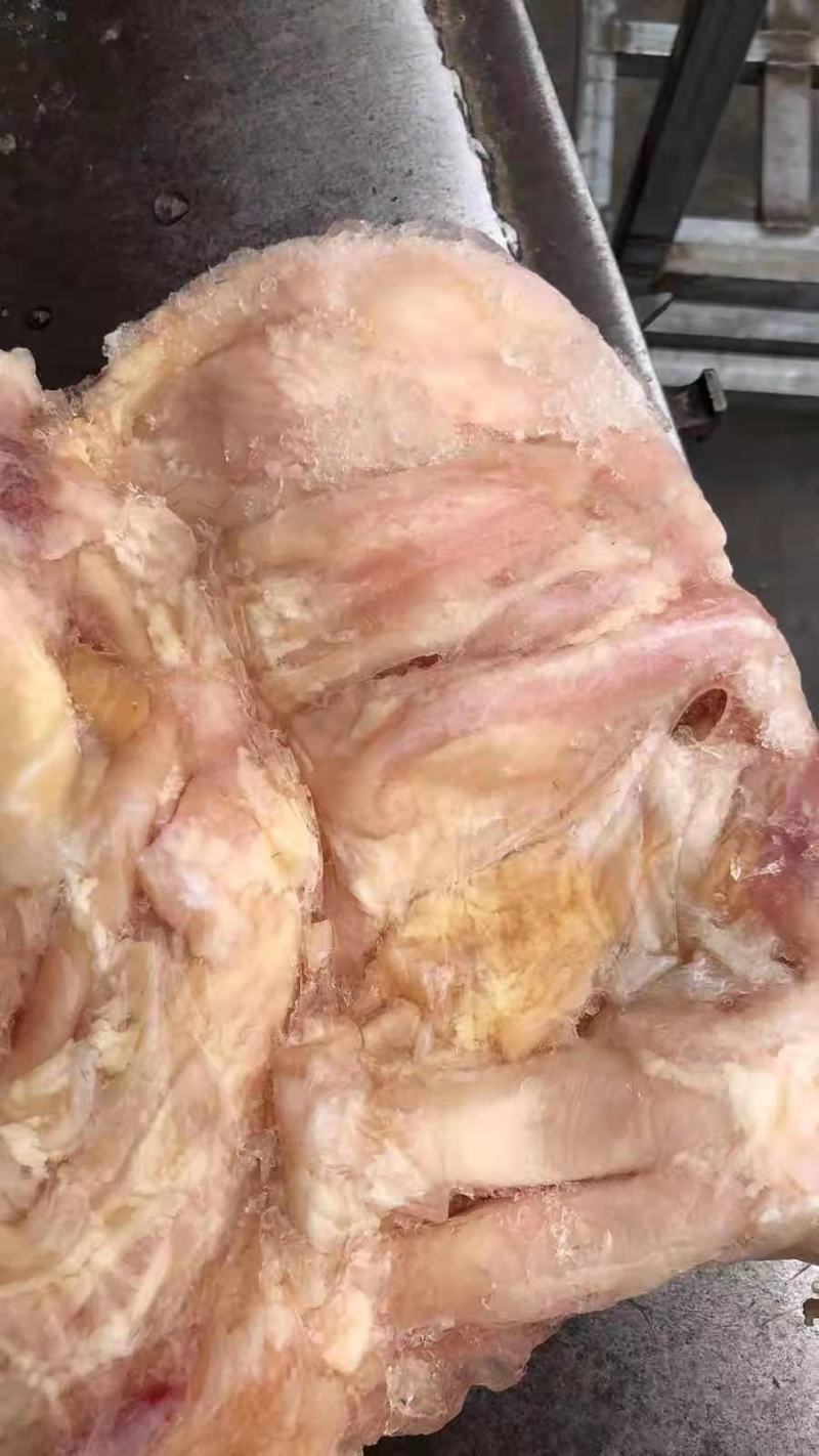 4蹄筋，现货