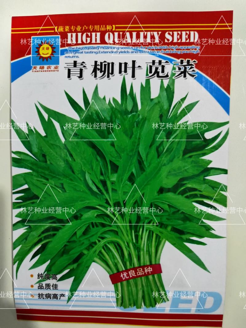 柳叶青苋菜种子竹叶青绿笕菜汗汉菜种籽农家蔬菜野菜青菜种孑