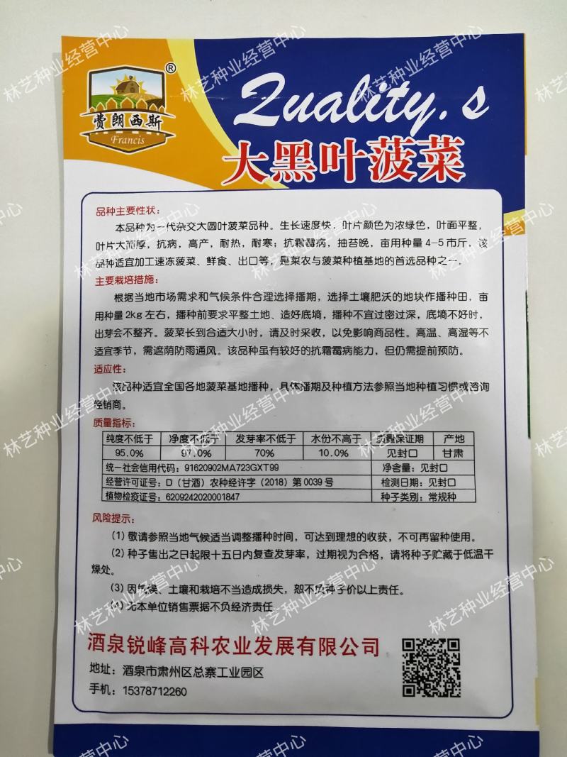 大叶菠菜种子四季易种田园盆栽菠菜籽种子抗病耐热耐寒越冬