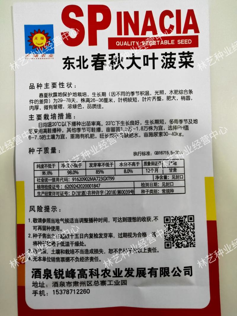 大叶菠菜种子四季蔬菜秋冬籽种阳台籽耐热菜种盆栽菠菜子菜籽