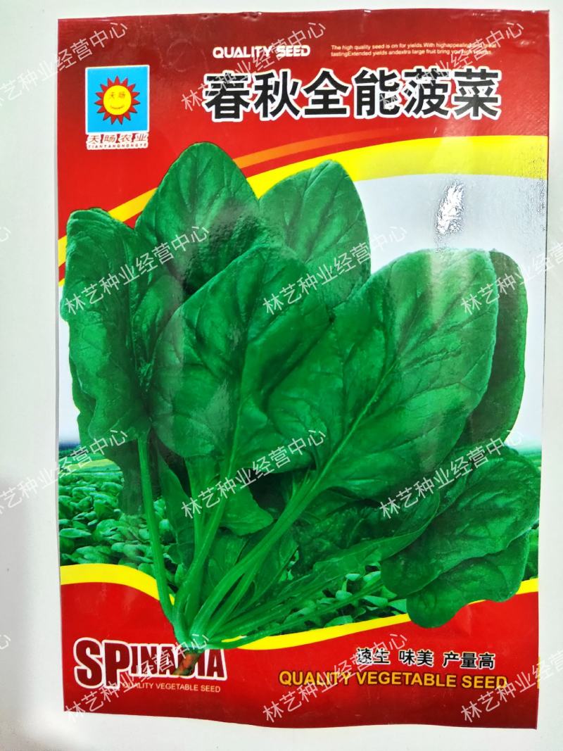 菠菜籽种子大叶全能菠菜耐寒耐热菠菜种籽秋冬春季农家田蔬菜