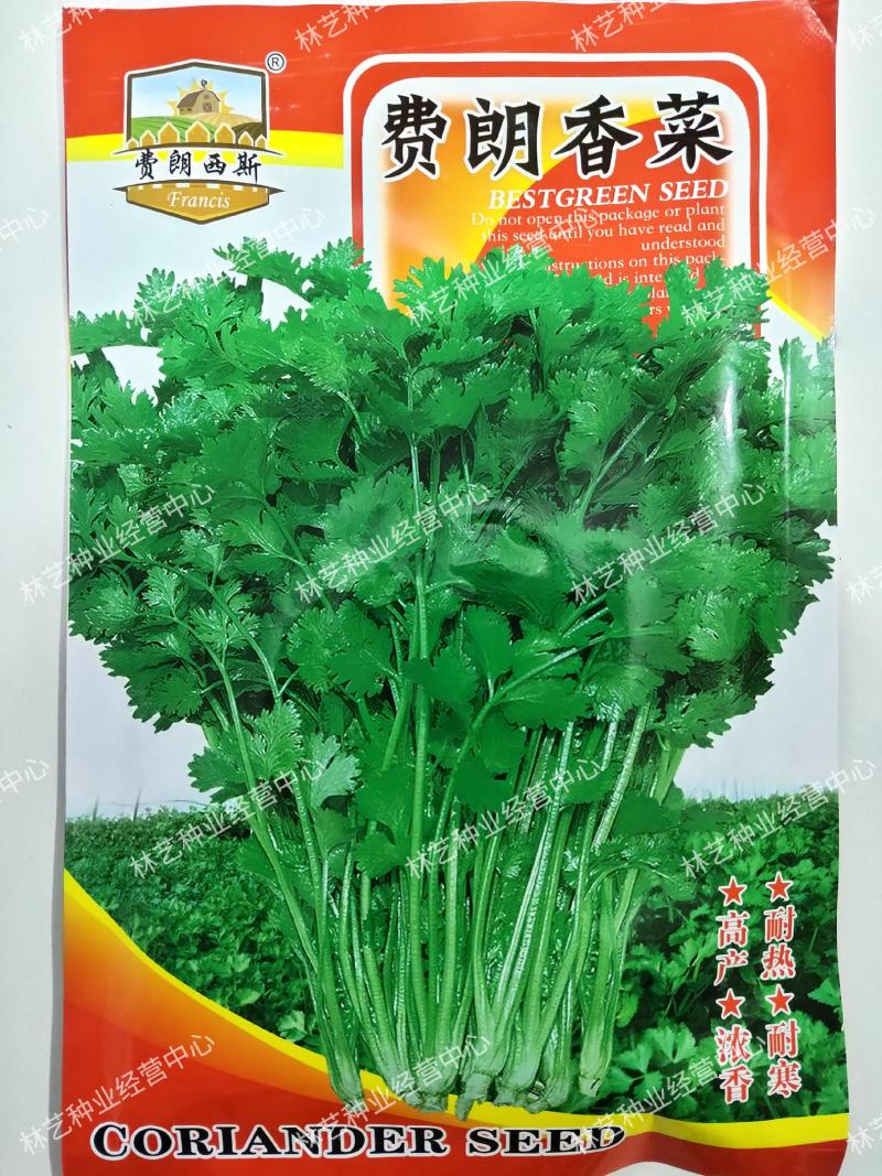 四季香菜种子阳台室内大棚种植适用香菜籽蔬菜种子四季都可播