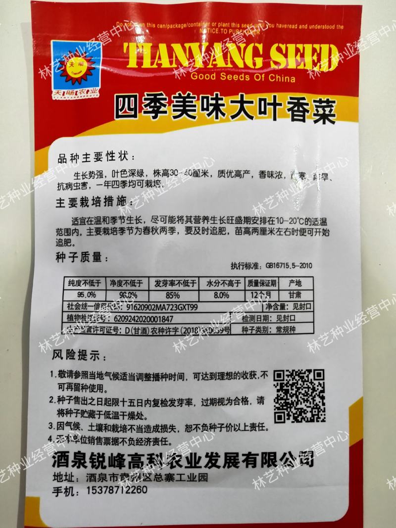 原装浓香大叶香菜种子四季种植蔬菜种子菜籽秋冬阳台小院