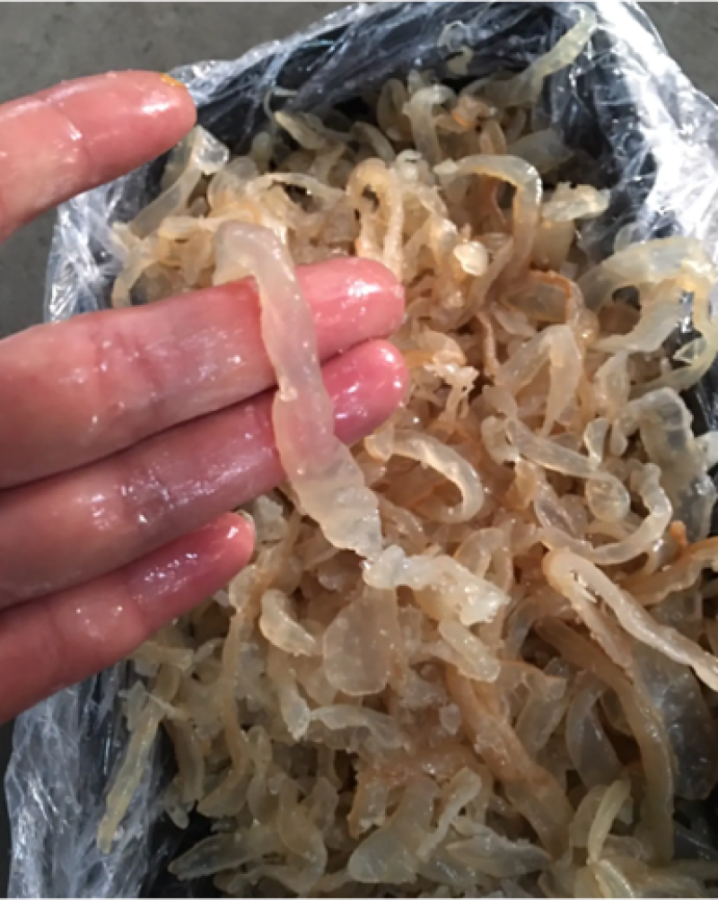 海蜇丝海蜇一箱13斤可电商分小包发货全国代发活