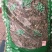 芙蓉叶木芙蓉叶干货冷背货齐全不满意可退换货