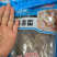 海蜇丝一包一斤装海蜇全国代发货进店咨询