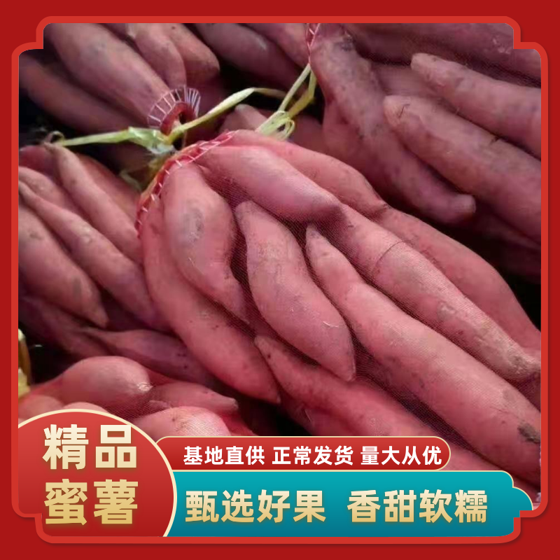 西瓜红红薯丘陵沙地大量上市货源充足全国发货