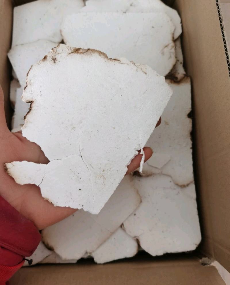 振兴药材批发供应茯苓片产地直销价茯苓片