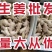山东大姜产地一手货源常年供应货源充足支持全国发货
