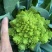 宝塔菜花大量上市需要的老板联系