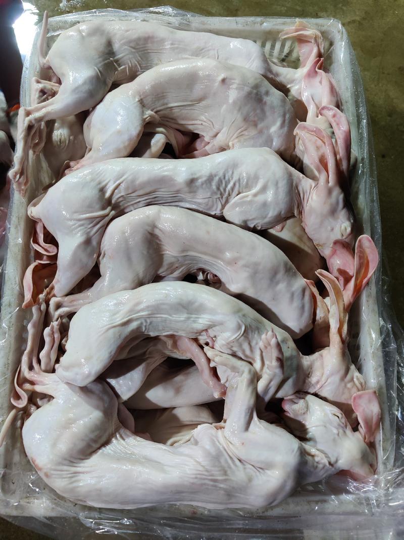 山东烫皮兔肉，带皮兔肉，烫毛兔肉，兔头分割兔产品，可定制加工