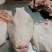 猪头肉，半成品，干货无冰无水，全部采用优质头