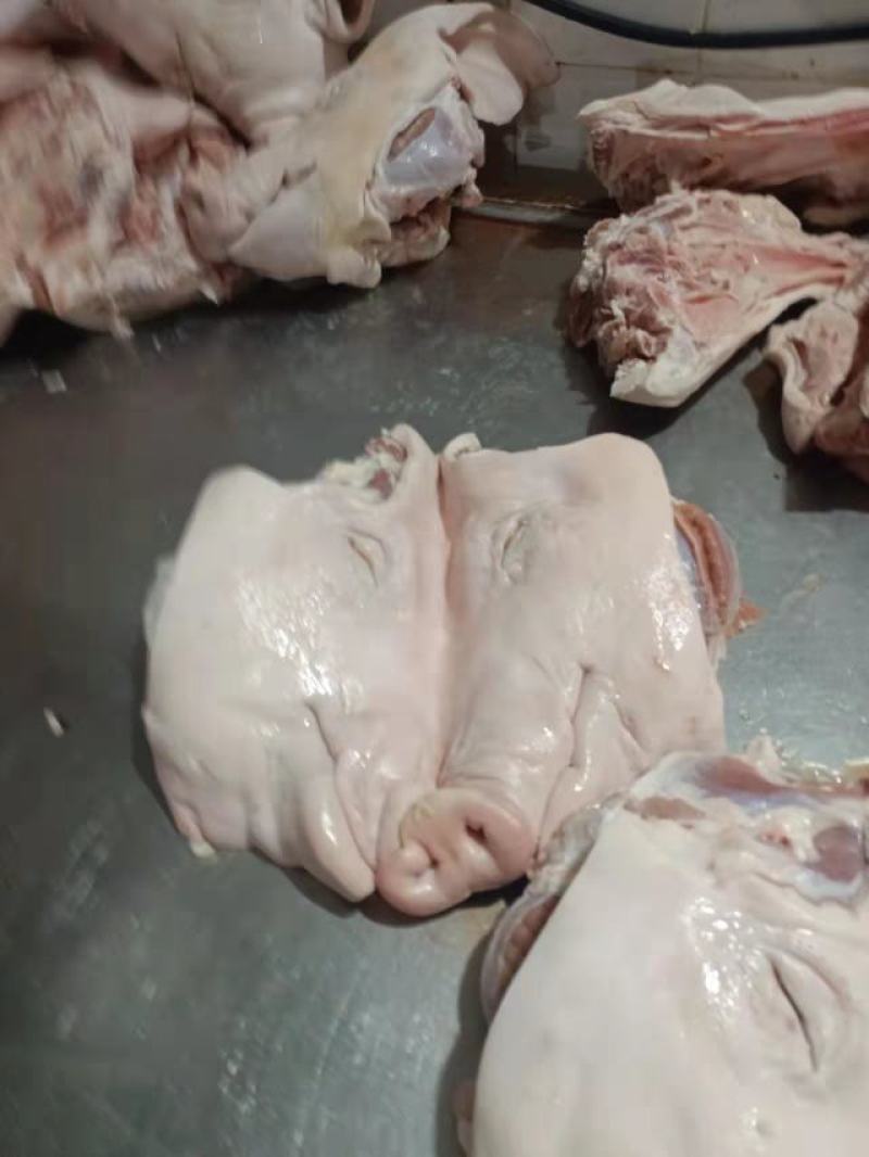 猪头肉，半成品，干货无冰无水，全部采用优质头