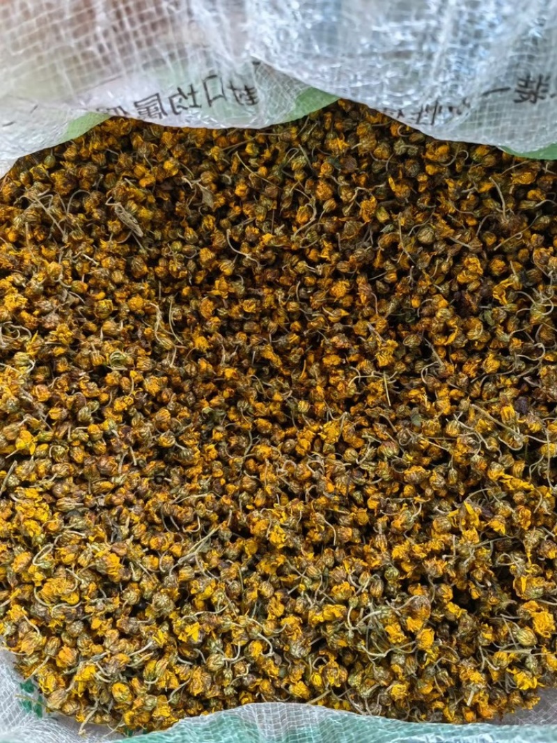 野生菊花一手货批发