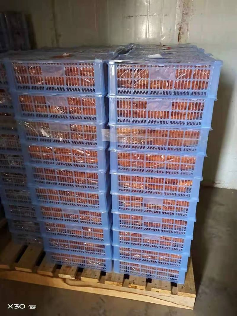 倒蒸红薯干一件代发电商团购各大平台香甜软糯Q弹有好嚼劲