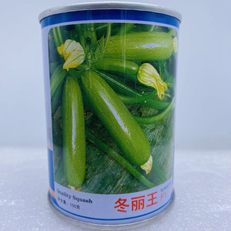 西葫芦种子油亮型品种杂交一代抗病种子品种