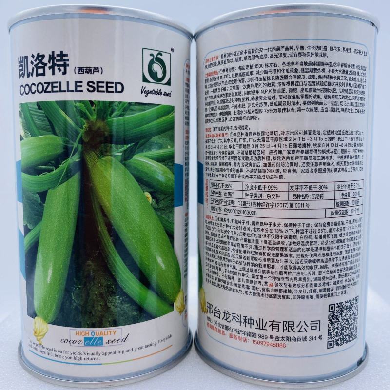西葫芦种子油亮型品种杂交一代抗病种子品种