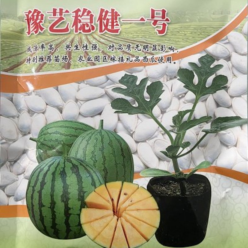 西瓜嫁接专用砧木，成活率高，100克/袋。