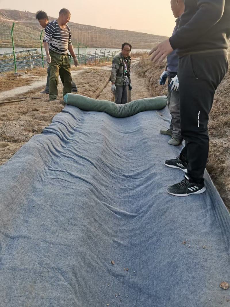 鱼塘水泥毯防渗护坡固化毯