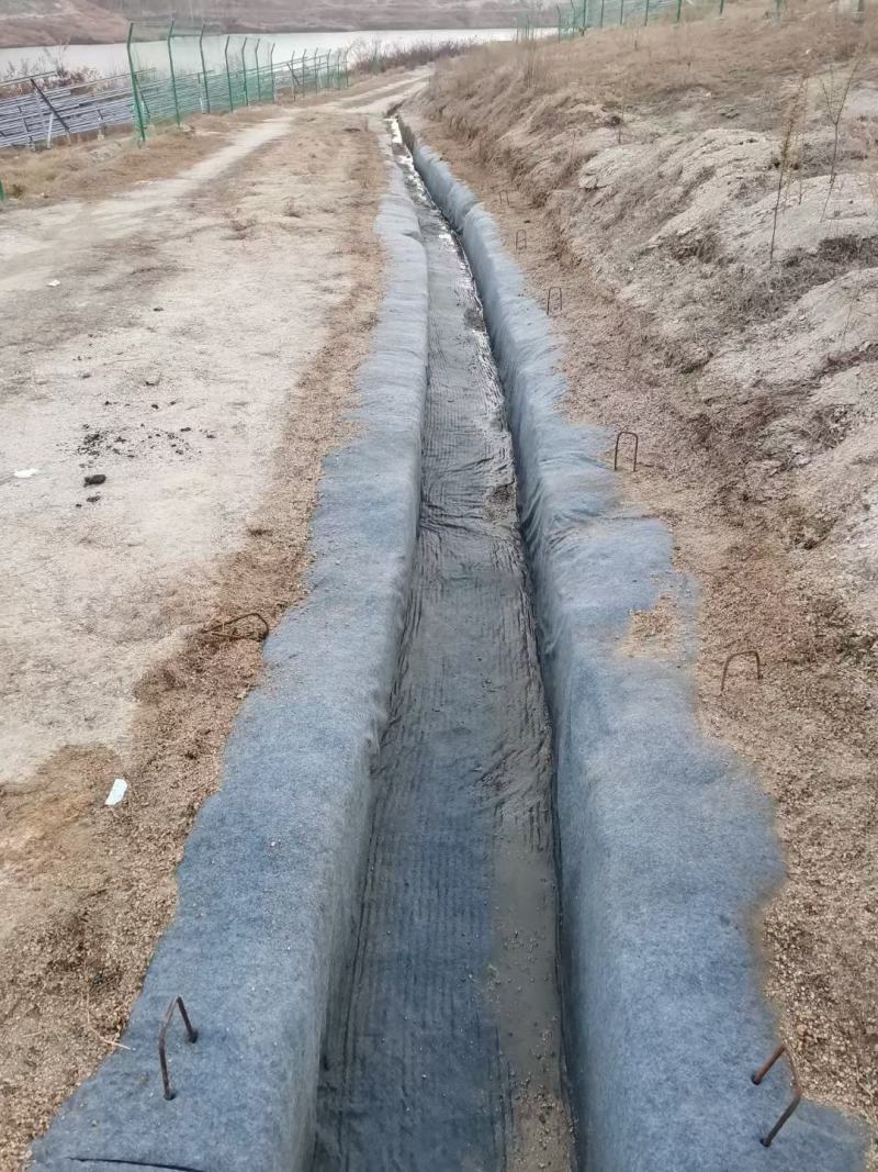 鱼塘水泥毯防渗护坡固化毯