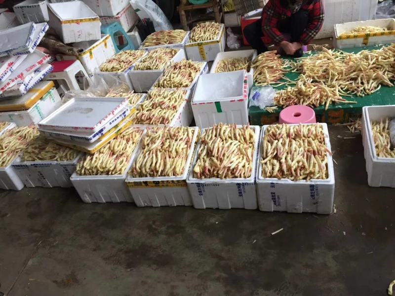 威远县仔姜，真实报价自产自销。