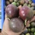 广西百香果产地直供新鲜一件代发批发大中小果45-100克