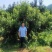 杨梅树苗东魁杨梅正宗嫁接，南方北方均种植基地直供
