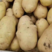 山东土豆荷兰十五货源充足全国发货以质论价坏烂包赔