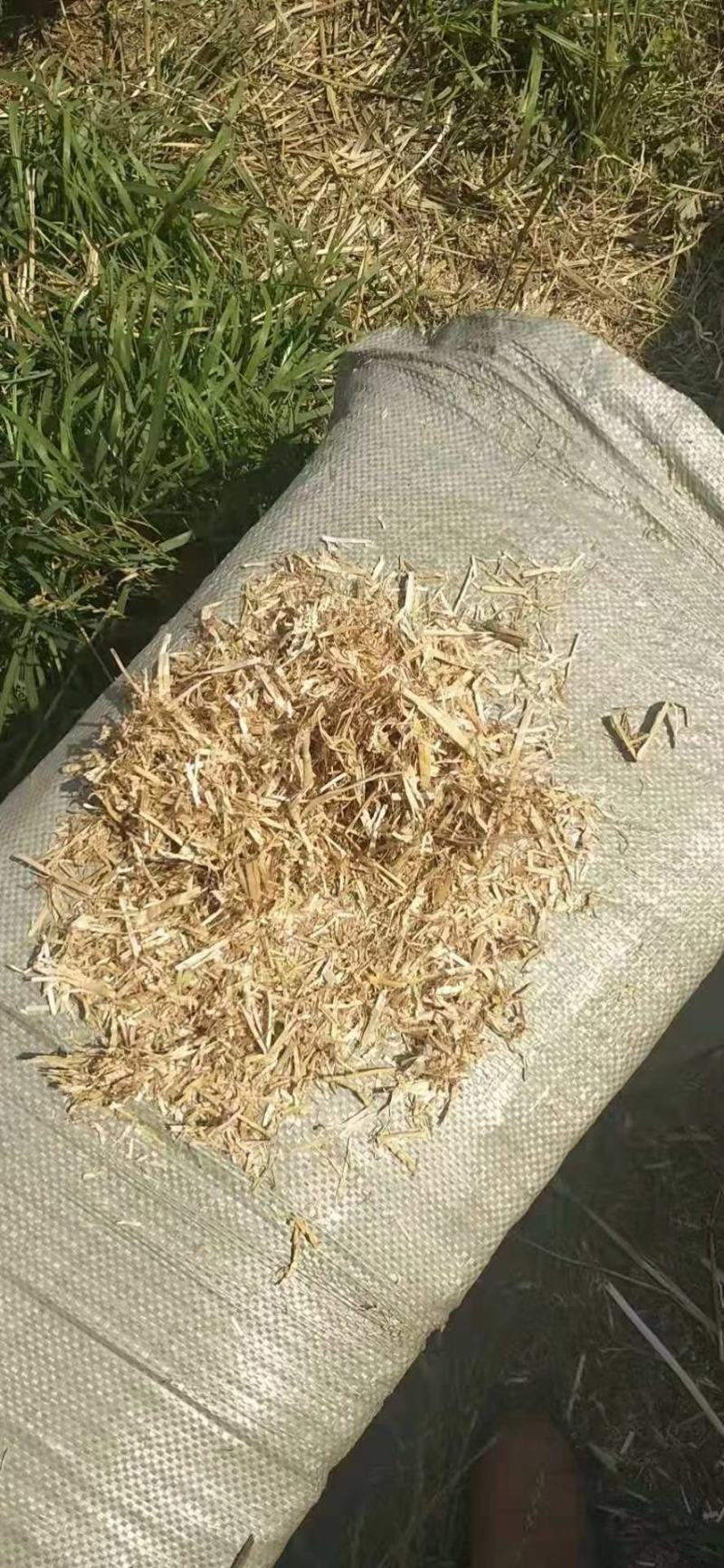 小麦秸秆牛羊草料除尘过筛粉碎揉丝无土无膜无霉变