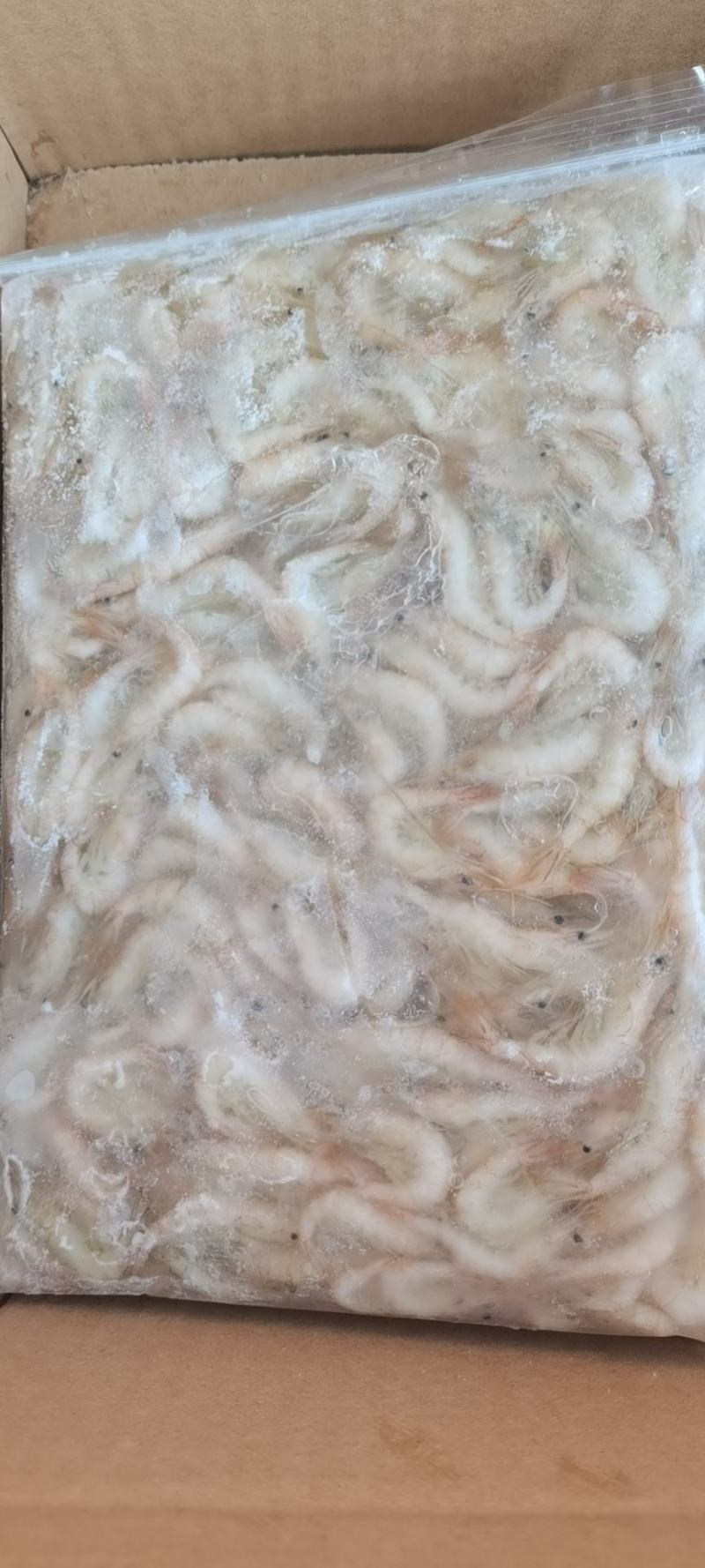 欢迎选购白米虾