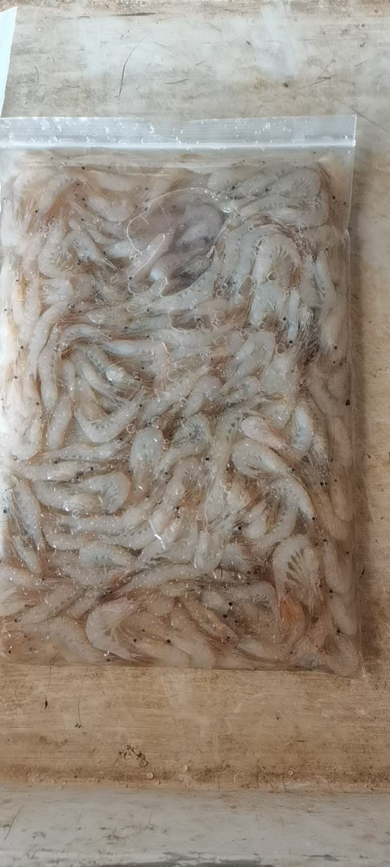 欢迎选购白米虾