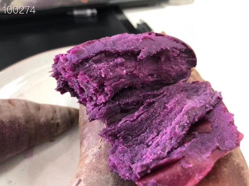 精品山东新鲜紫薯紫罗兰粗粮圆叶紫心板栗5斤正宗