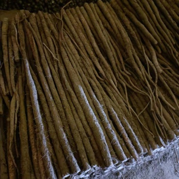 铁棍山药适合加工厂