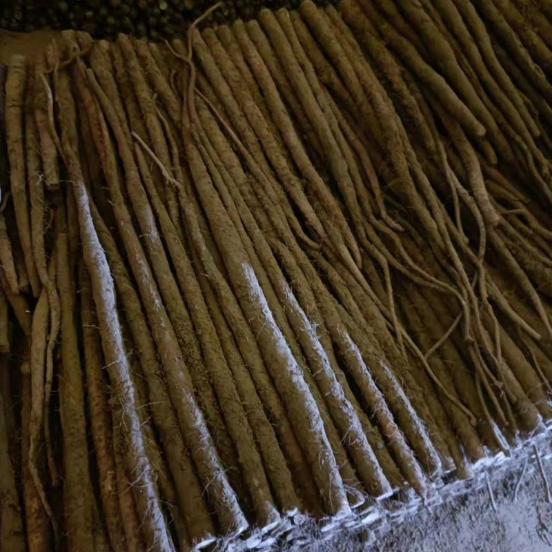铁棍山药适合加工厂