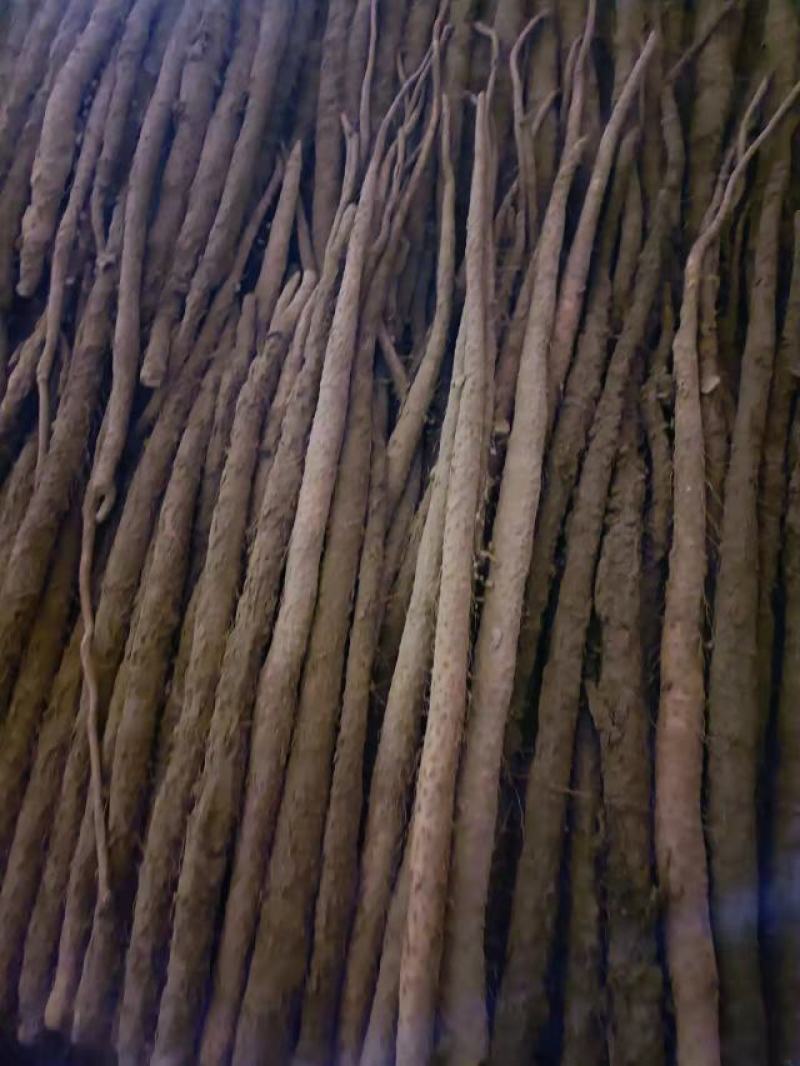 铁棍山药适合加工厂