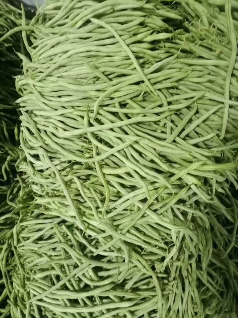 【精选】架豆王豆角&无筋豆/青豆角/基地直供/可全国发货