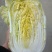 湖北天门黄心大白菜质优价廉