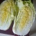 湖北天门黄心大白菜质优价廉