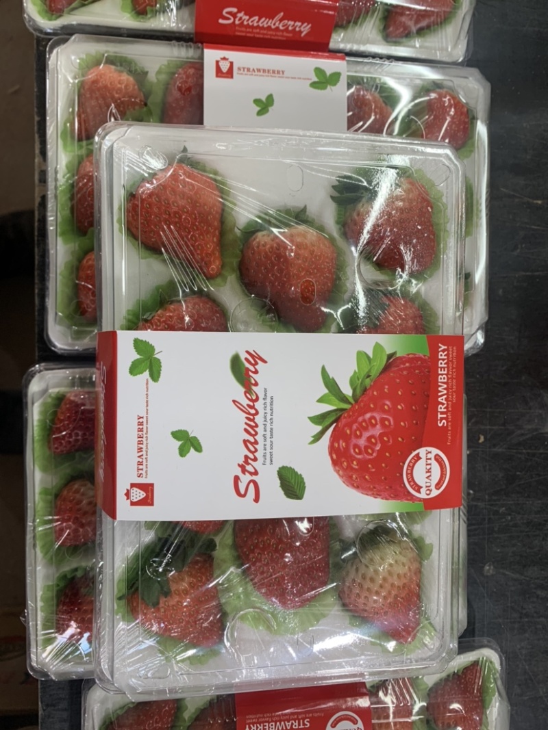 辽宁丹东99草莓红颜草莓奶油草莓市场批发